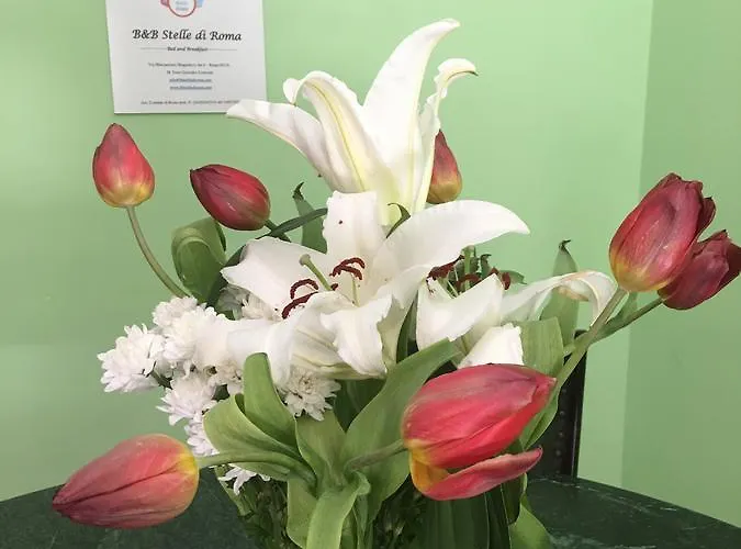 Frühstückspension Stelle Di 3*